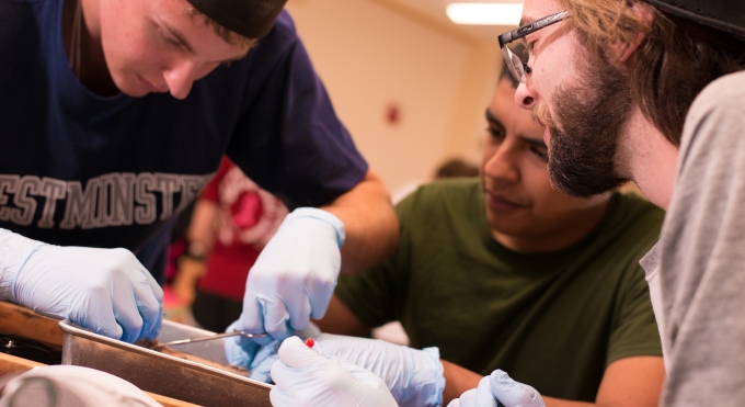 Anatomy Lab at Westminster College