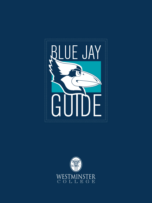 The Blue Jay Guide