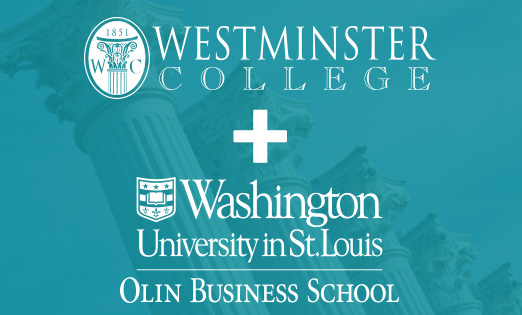 Wash U Partnership